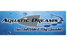 aquatic dreams aquatic dreams
